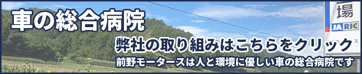 車の総合病院